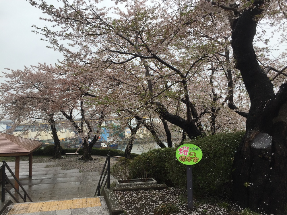 グレットタワーみなとを中心とした人情とレトロが織りなす懐古な回路の写真21