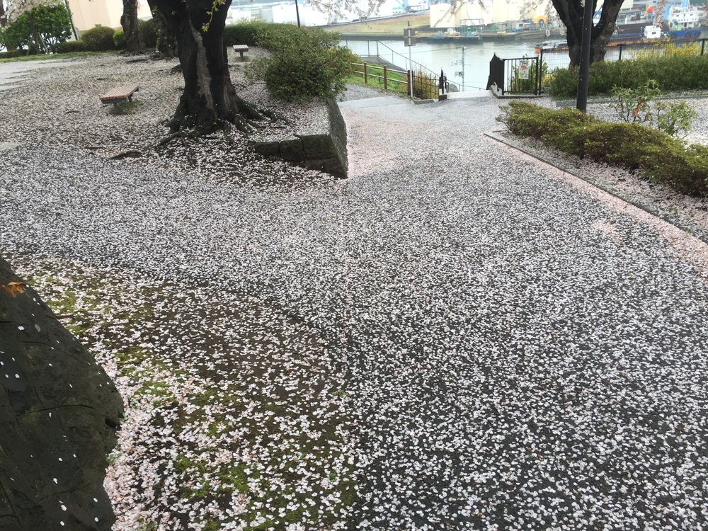 グレットタワーみなとを中心とした人情とレトロが織りなす懐古な回路の写真22