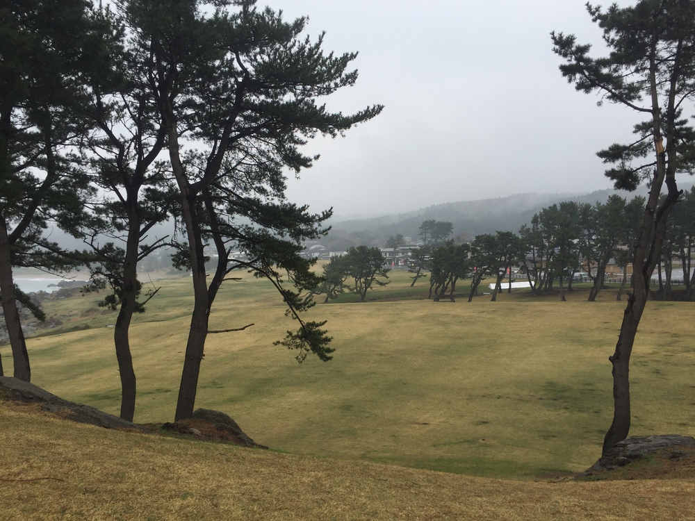 Meb keflezighiのような練習をここでしよう(^^)vの写真3