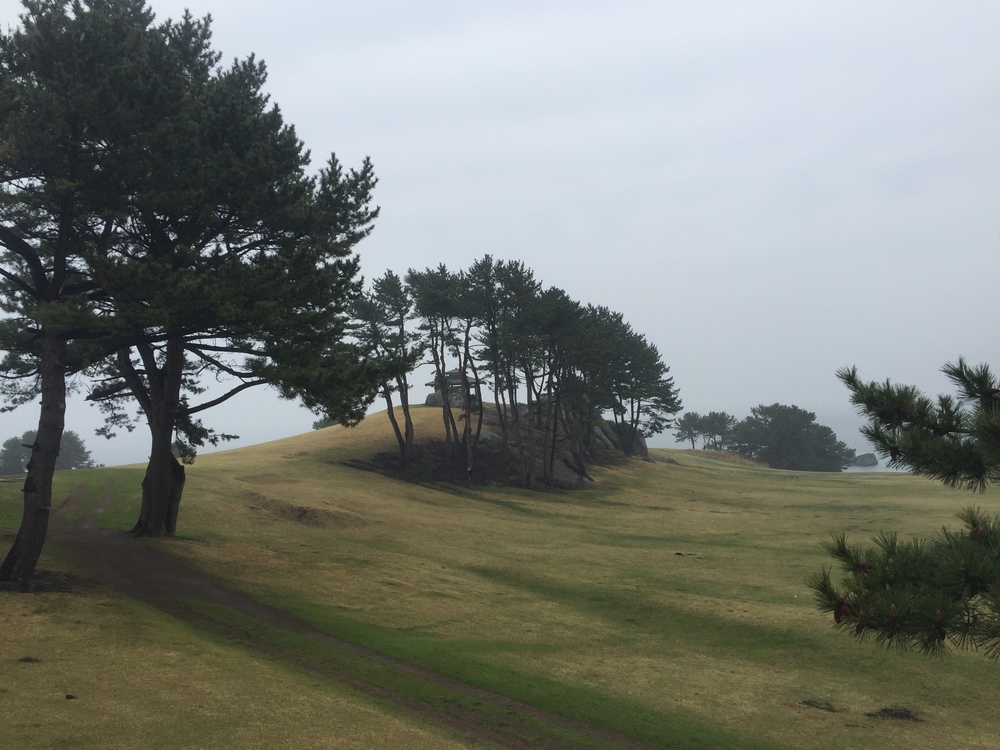 Meb keflezighiのような練習をここでしよう(^^)vの写真4