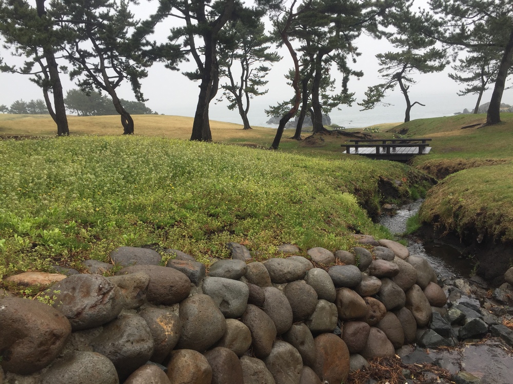 Meb keflezighiのような練習をここでしよう(^^)vの写真7