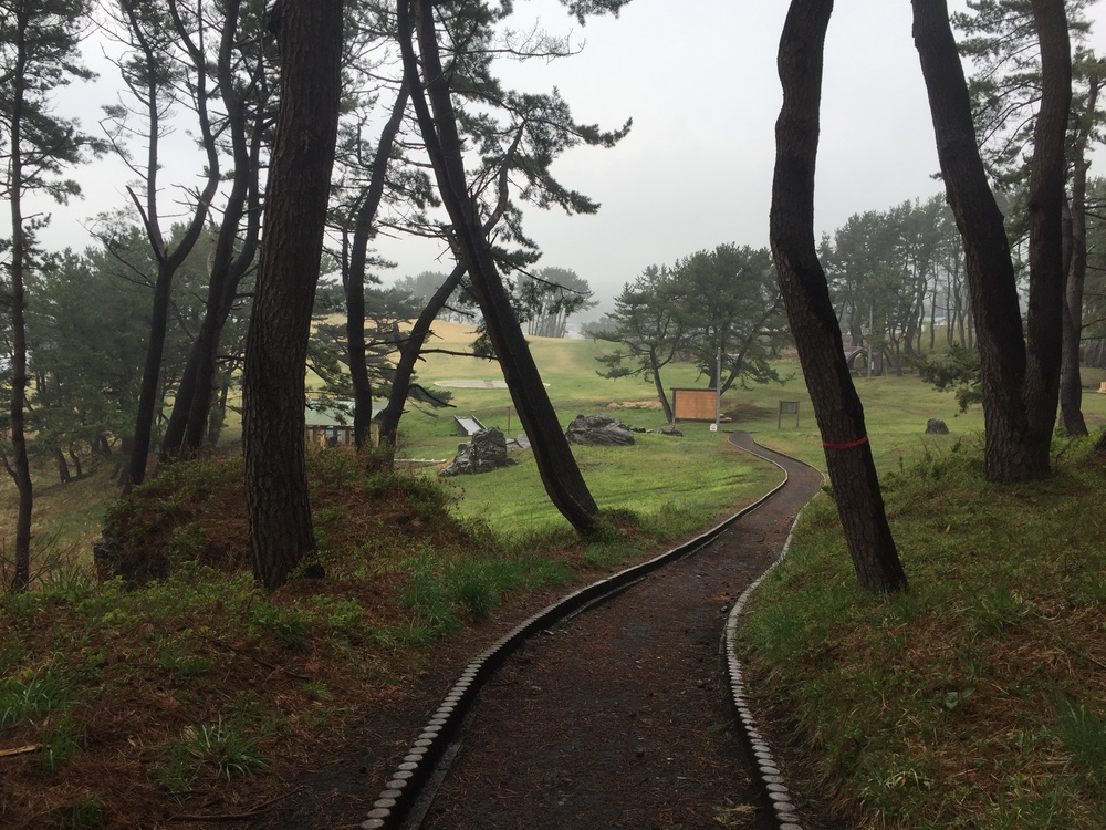 Meb keflezighiのような練習をここでしよう(^^)vの写真10