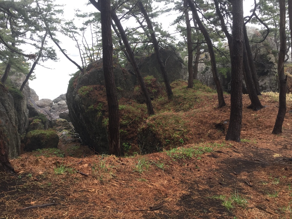 Meb keflezighiのような練習をここでしよう(^^)vの写真11