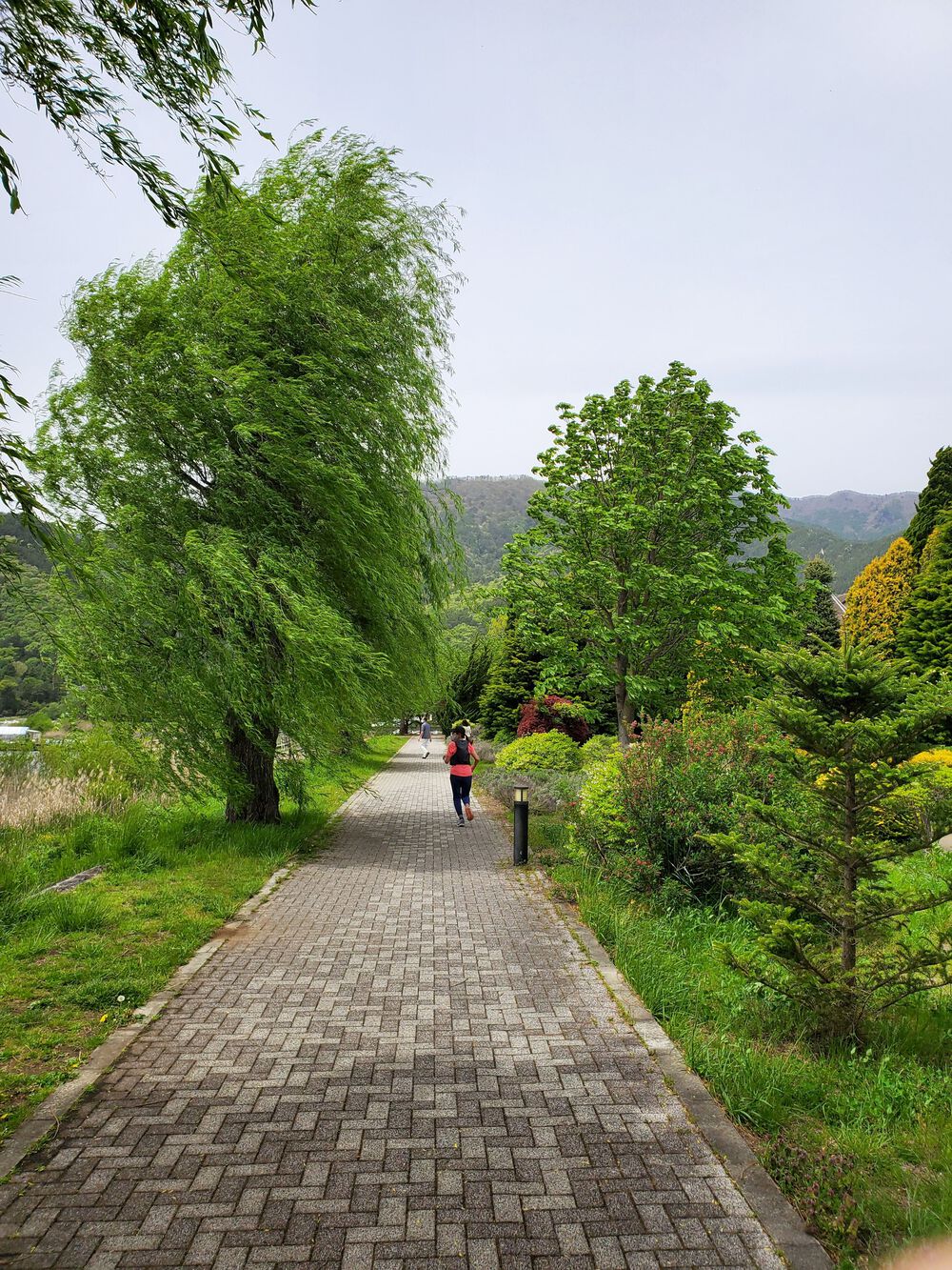 河口湖RUN🏃‍♂️🏃‍♀️💨の写真3
