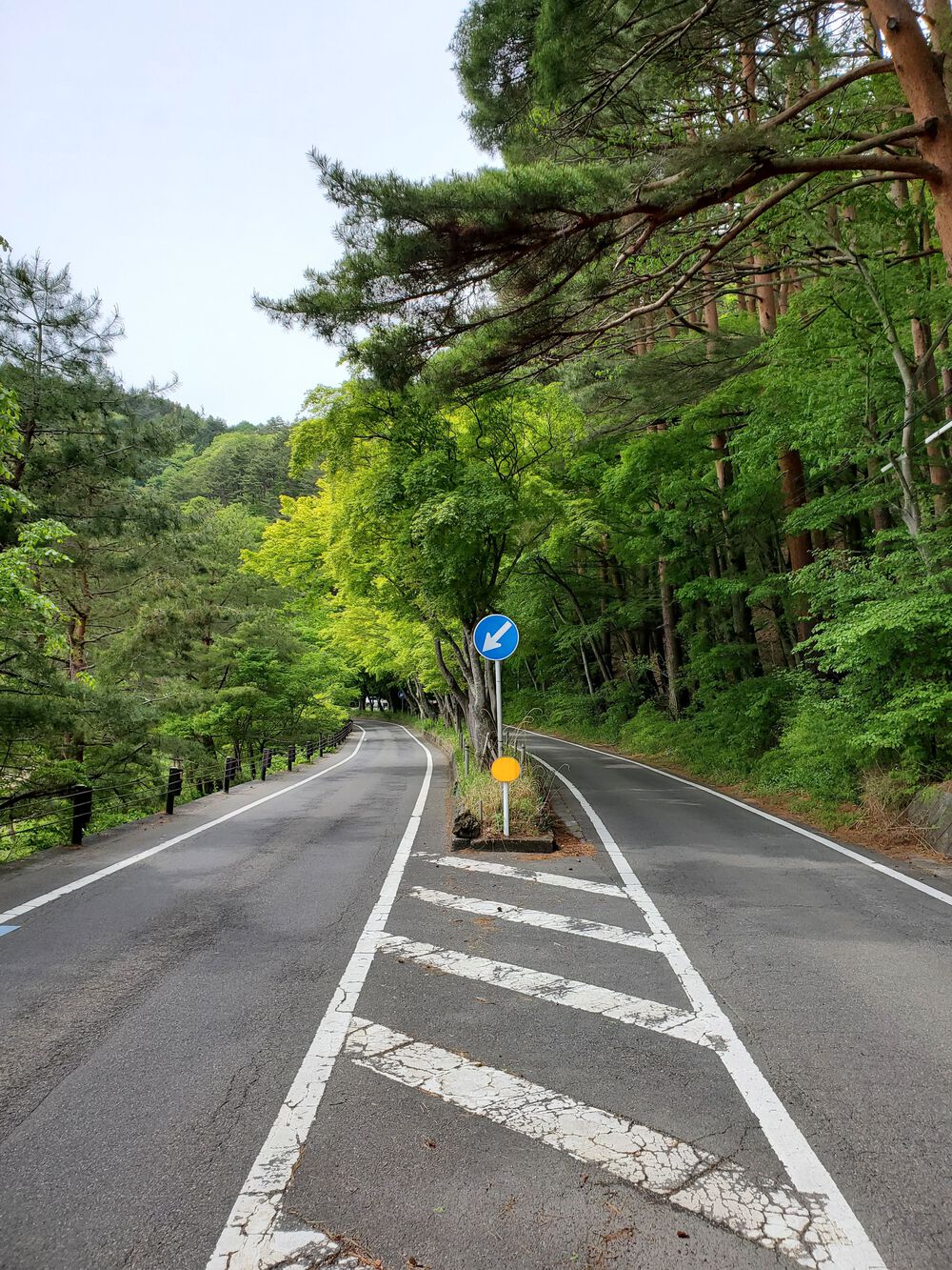 河口湖RUN🏃‍♂️🏃‍♀️💨の写真5