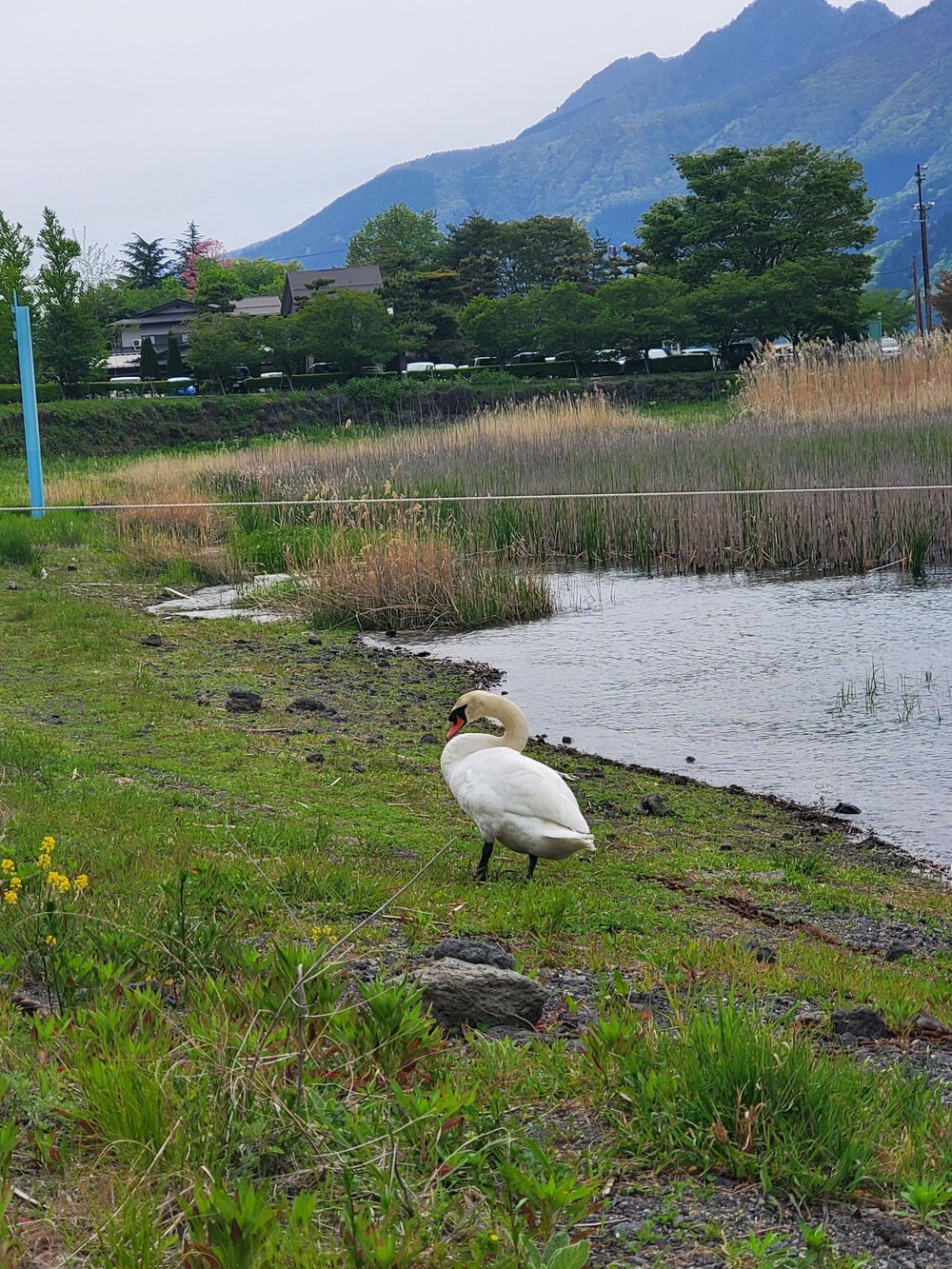河口湖RUN🏃‍♂️🏃‍♀️💨の写真9