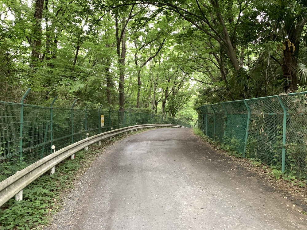 多摩湖、狭山湖トレイルの写真4