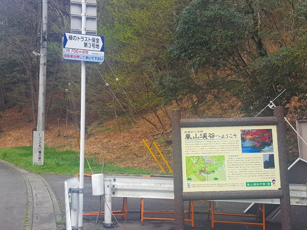 桜も楽しめる都幾川・嵐山ランの写真7