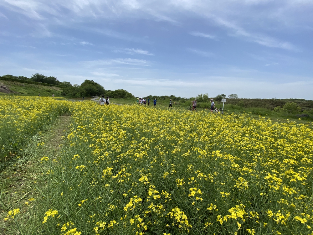 上尾駅発着、牧場ジェラート＆公園＆スパイス王国ランの写真11