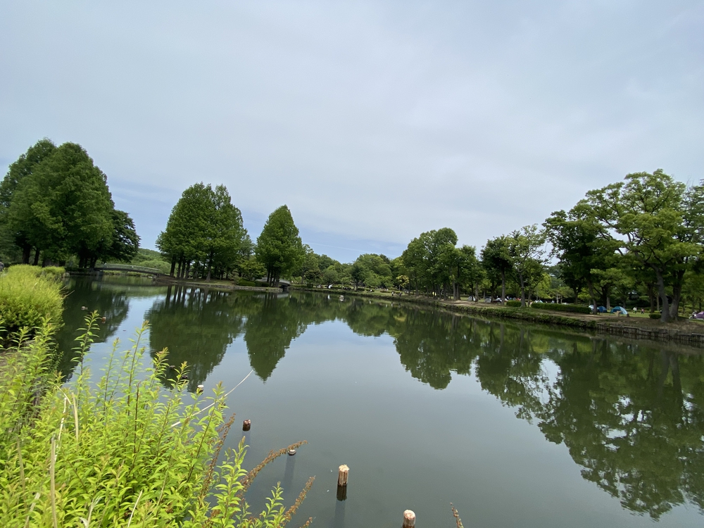 上尾駅発着、牧場ジェラート＆公園＆スパイス王国ランの写真14