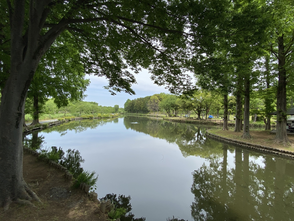 上尾駅発着、牧場ジェラート＆公園＆スパイス王国ランの写真15