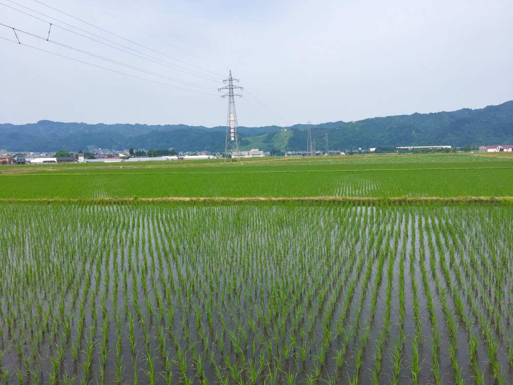 【新潟・南魚沼】南魚沼グルメマラソン１／8コース＜新潟オアシスの旅＞の写真3