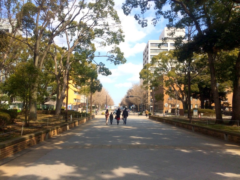 【神奈川・横浜】横浜ベイエリア代表スポットを巡る観光LSDの写真10