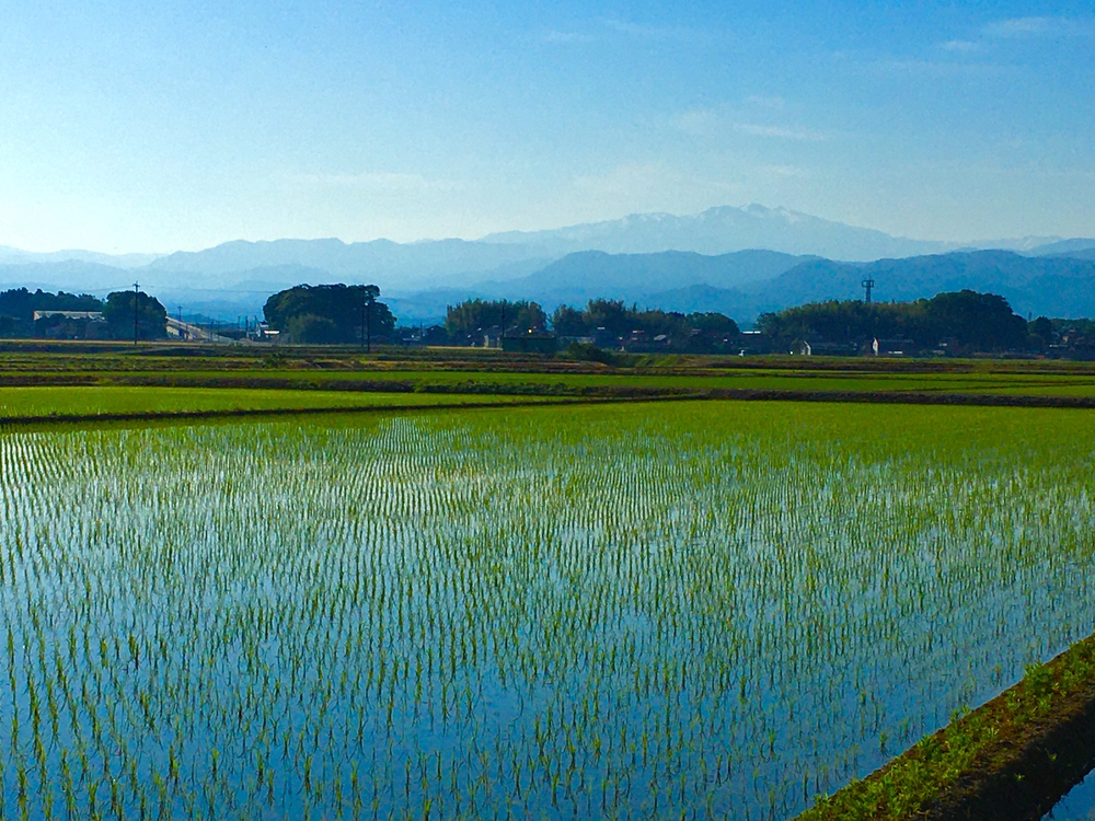 白山眺望コース　in加賀市の写真6