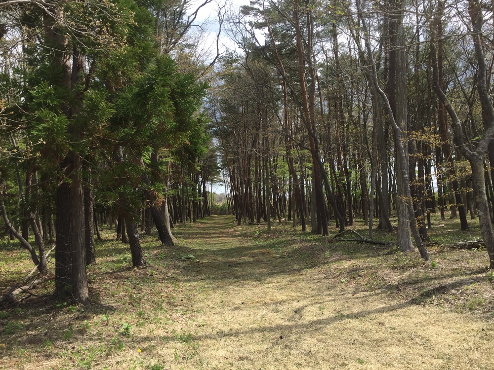 飛行機の街だから空が広いっ何処までも続く地平線！だけど北海道ではナイドウの写真10