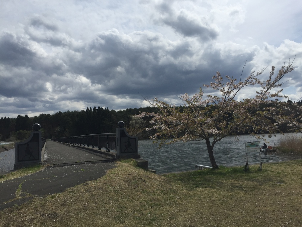飛行機の街だから空が広いっ何処までも続く地平線！だけど北海道ではナイドウの写真17