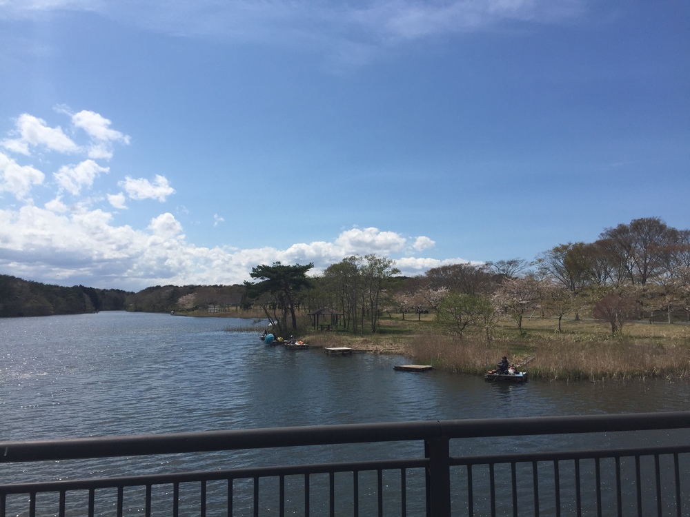 飛行機の街だから空が広いっ何処までも続く地平線！だけど北海道ではナイドウの写真19