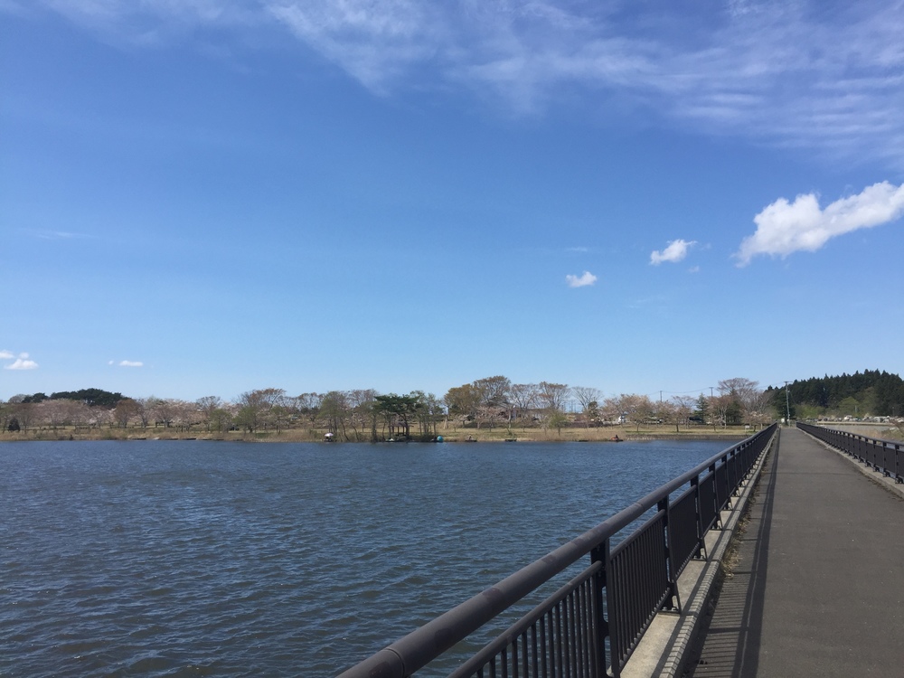 飛行機の街だから空が広いっ何処までも続く地平線！だけど北海道ではナイドウの写真20