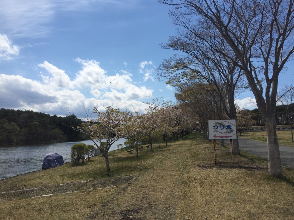 飛行機の街だから空が広いっ何処までも続く地平線！だけど北海道ではナイドウの写真23