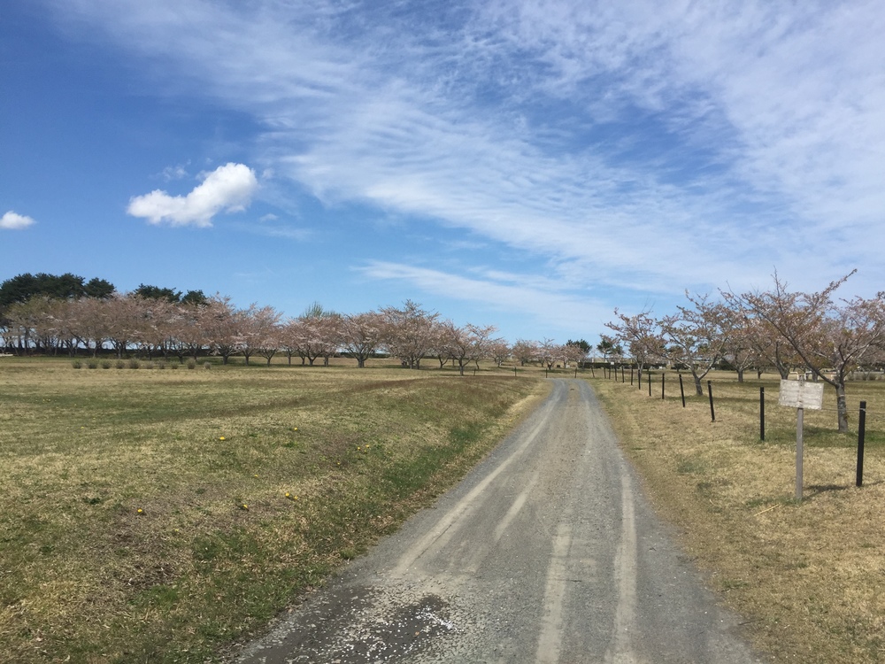 飛行機の街だから空が広いっ何処までも続く地平線！だけど北海道ではナイドウの写真24