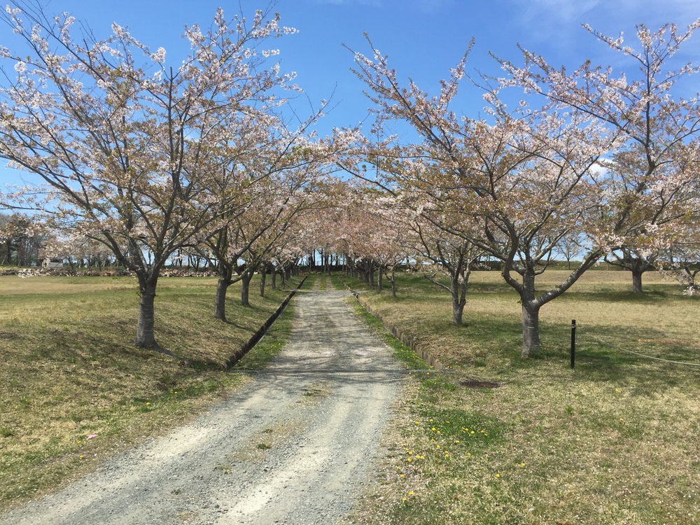 飛行機の街だから空が広いっ何処までも続く地平線！だけど北海道ではナイドウの写真25