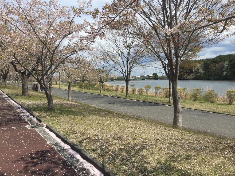 飛行機の街だから空が広いっ何処までも続く地平線！だけど北海道ではナイドウの写真26