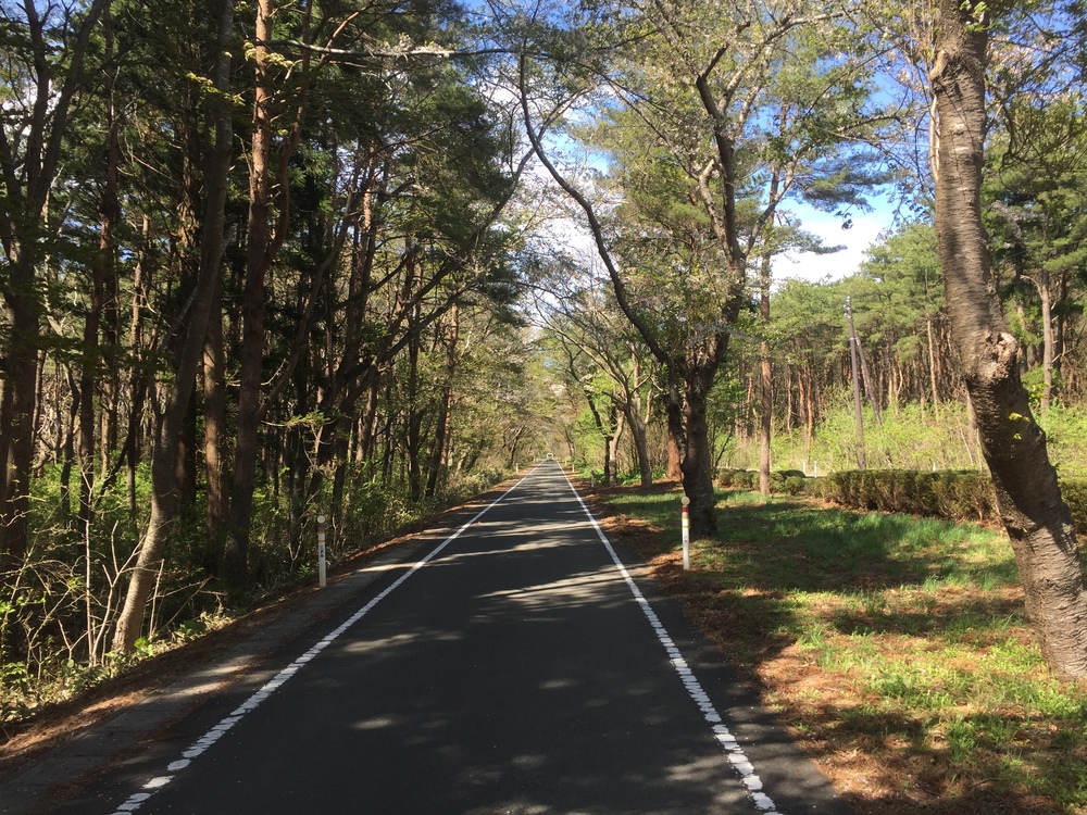 飛行機の街だから空が広いっ何処までも続く地平線！だけど北海道ではナイドウの写真28