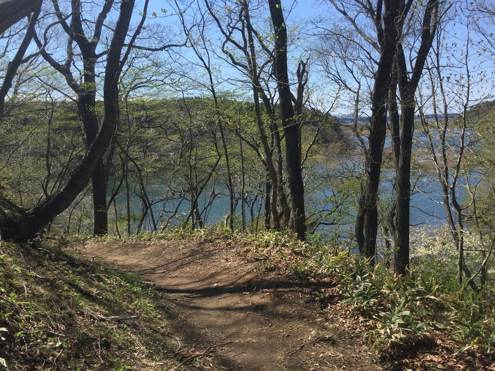 飛行機の街だから空が広いっ何処までも続く地平線！だけど北海道ではナイドウの写真29