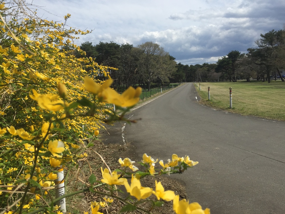 飛行機の街だから空が広いっ何処までも続く地平線！だけど北海道ではナイドウの写真30
