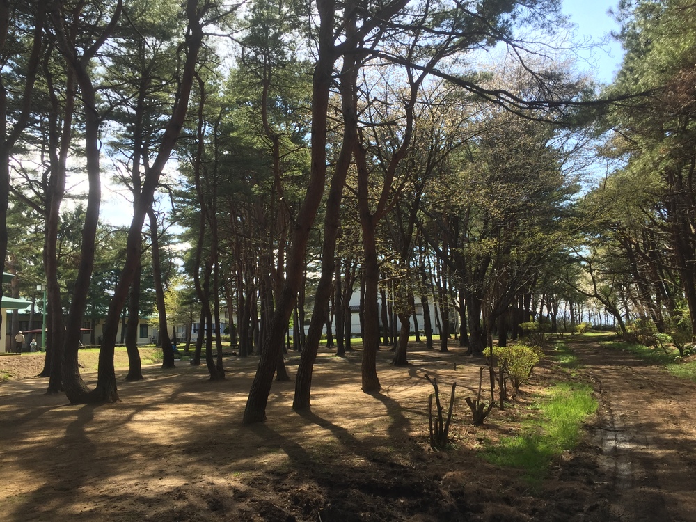 飛行機の街だから空が広いっ何処までも続く地平線！だけど北海道ではナイドウの写真32
