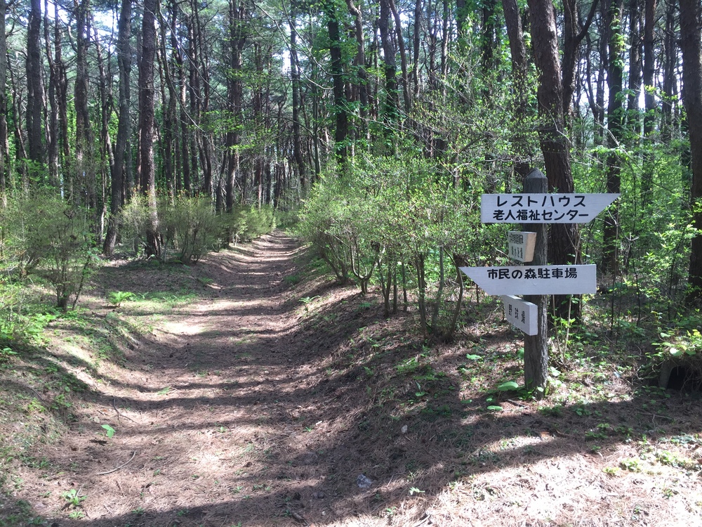 飛行機の街だから空が広いっ何処までも続く地平線！だけど北海道ではナイドウの写真33