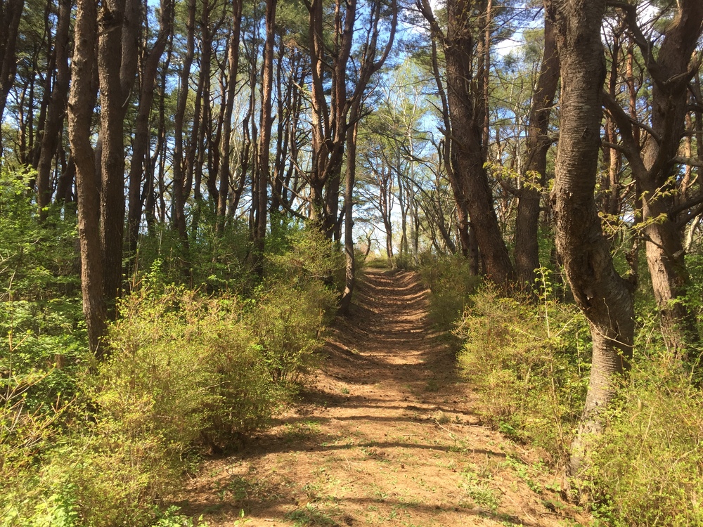 飛行機の街だから空が広いっ何処までも続く地平線！だけど北海道ではナイドウの写真34
