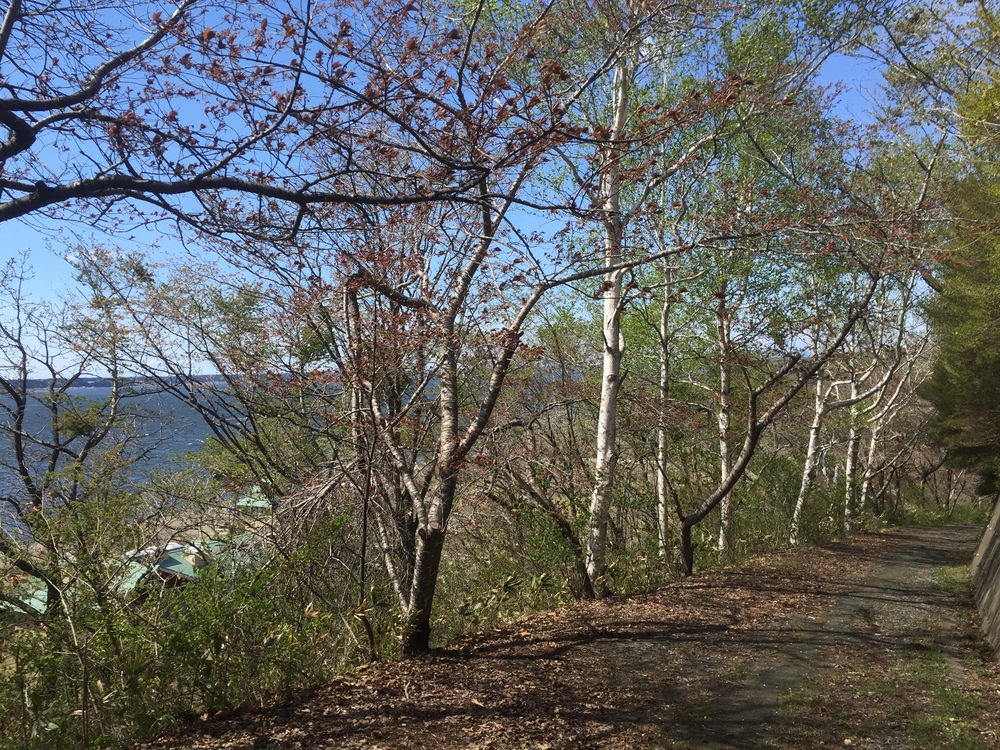 飛行機の街だから空が広いっ何処までも続く地平線！だけど北海道ではナイドウの写真35