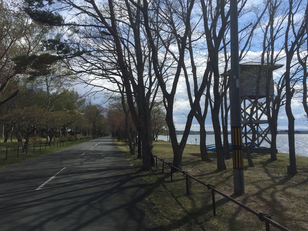 飛行機の街だから空が広いっ何処までも続く地平線！だけど北海道ではナイドウの写真37