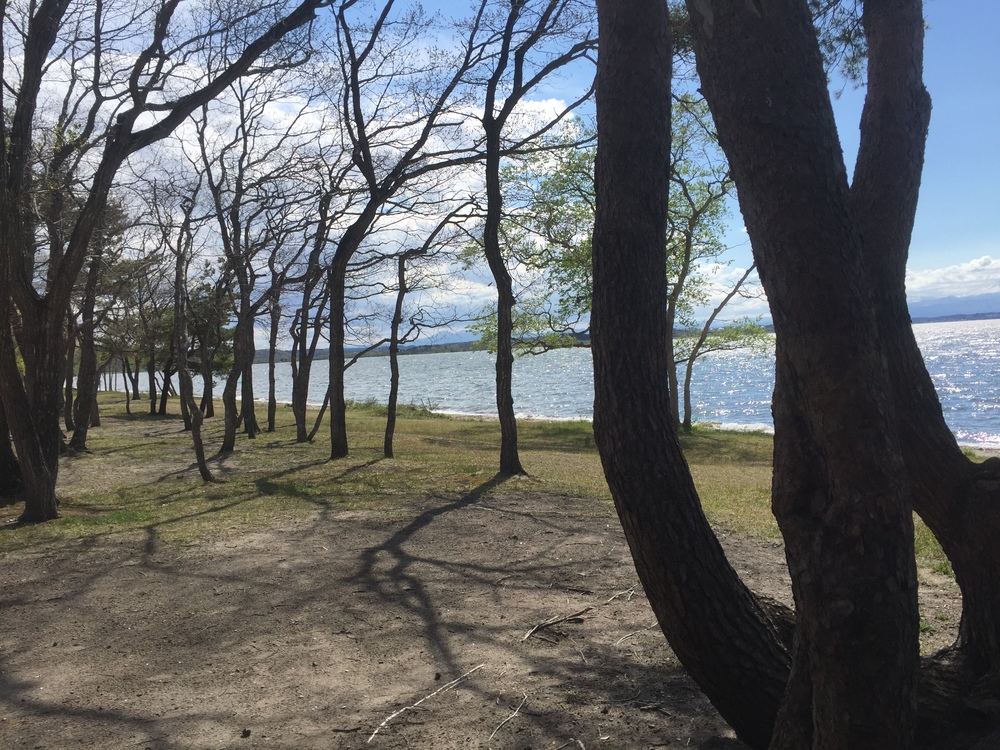飛行機の街だから空が広いっ何処までも続く地平線！だけど北海道ではナイドウの写真38