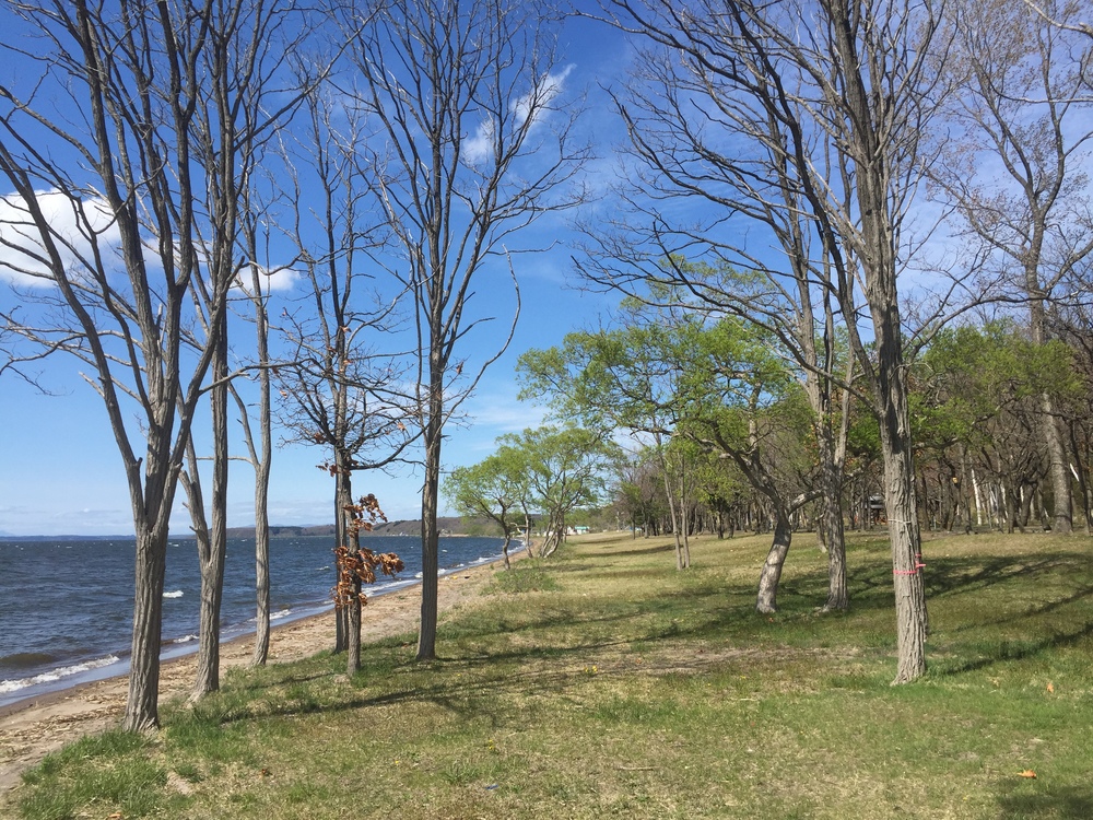 飛行機の街だから空が広いっ何処までも続く地平線！だけど北海道ではナイドウの写真40