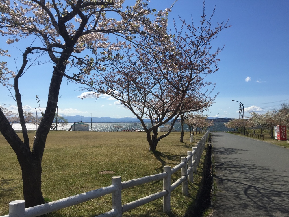飛行機の街だから空が広いっ何処までも続く地平線！だけど北海道ではナイドウの写真41