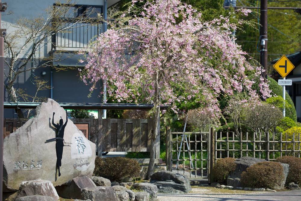 箱根駅伝の5区と6区を体感！箱根町コースの写真7