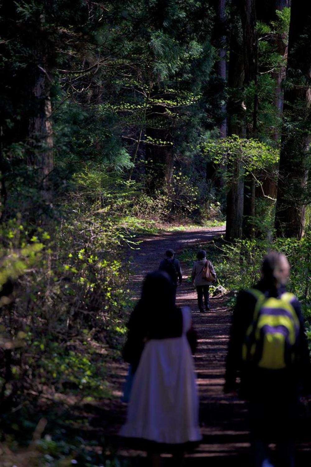 箱根駅伝の5区と6区を体感！箱根町コースの写真10