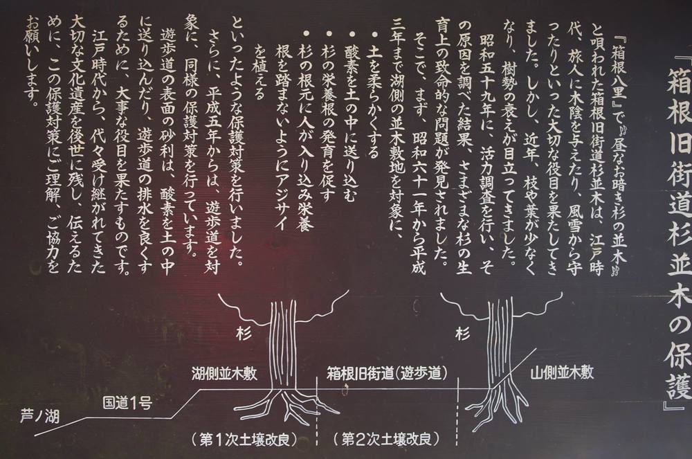 箱根駅伝の5区と6区を体感！箱根町コースの写真11