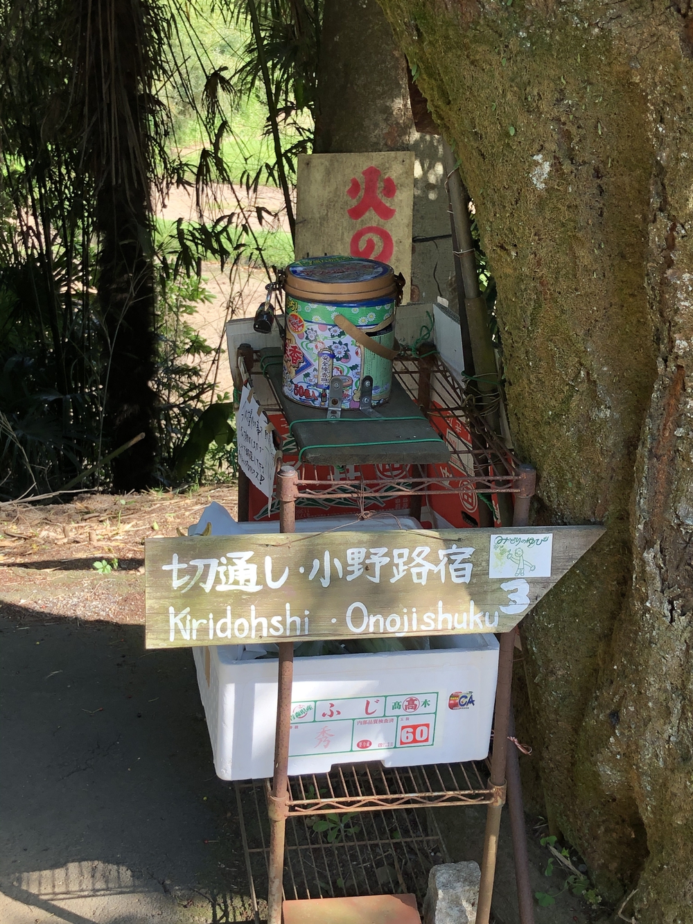 多摩の谷戸、切り通しめぐりの写真6