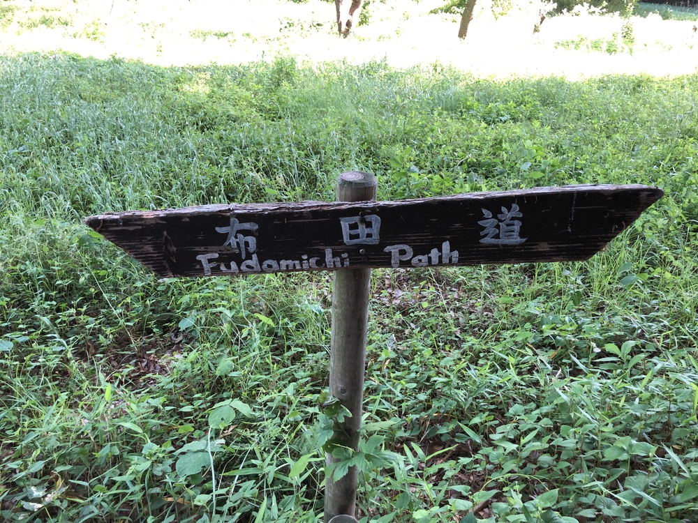 多摩の谷戸、切り通しめぐりの写真7