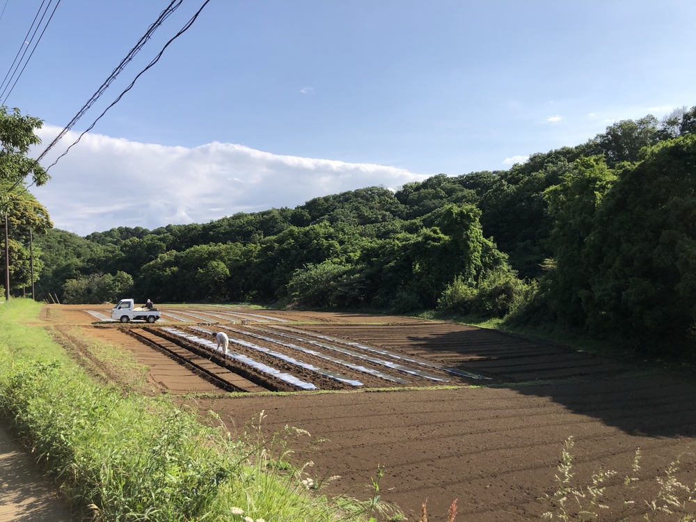 多摩の谷戸、切り通しめぐりの写真8