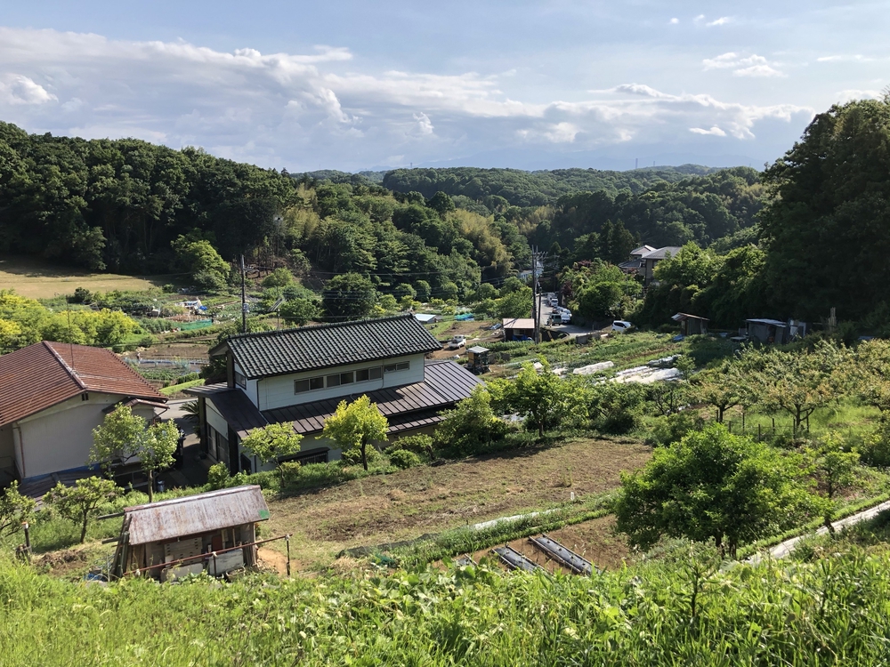 多摩の谷戸、切り通しめぐりの写真9