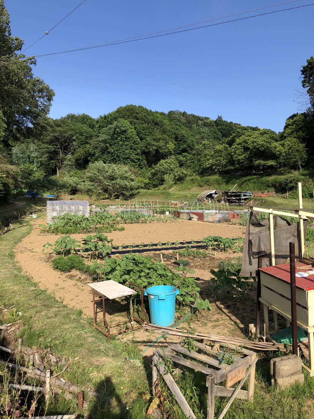 多摩の谷戸、切り通しめぐりの写真12