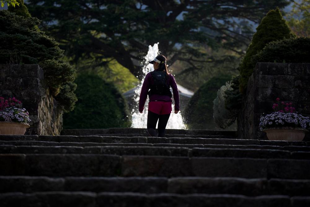 箱根の花の名所へ。強羅～宮ノ下コースの写真4