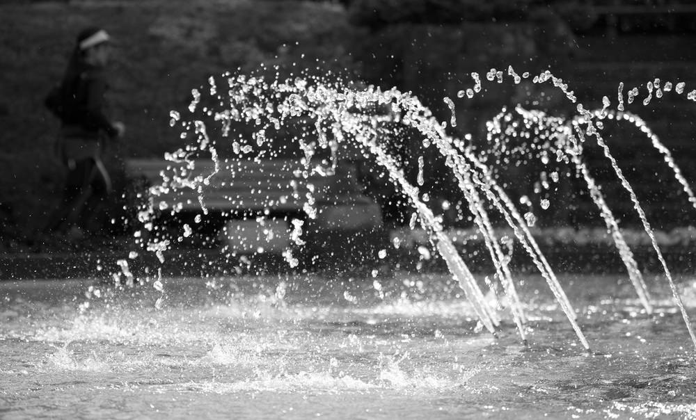 箱根の花の名所へ。強羅～宮ノ下コースの写真5