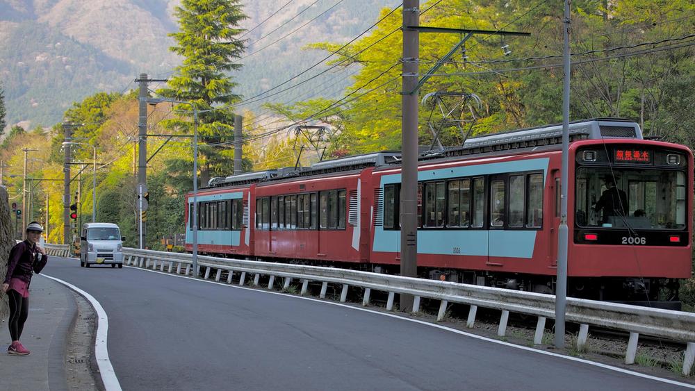 箱根の花の名所へ。強羅～宮ノ下コースの写真6