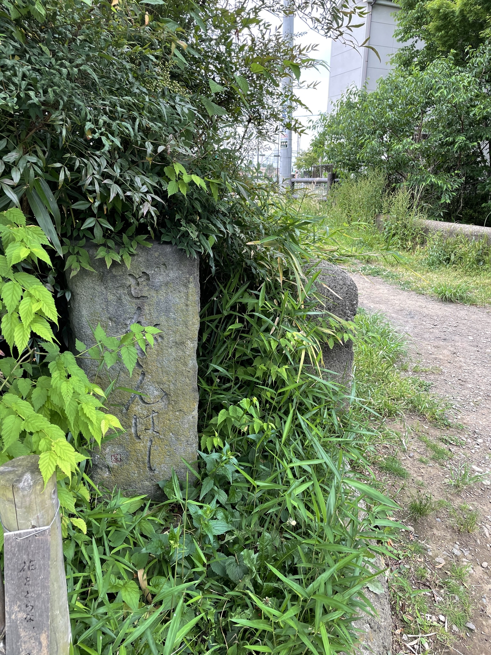 玉川上水から井の頭公園へ、神田川に架かる橋を全て渡るランの写真3