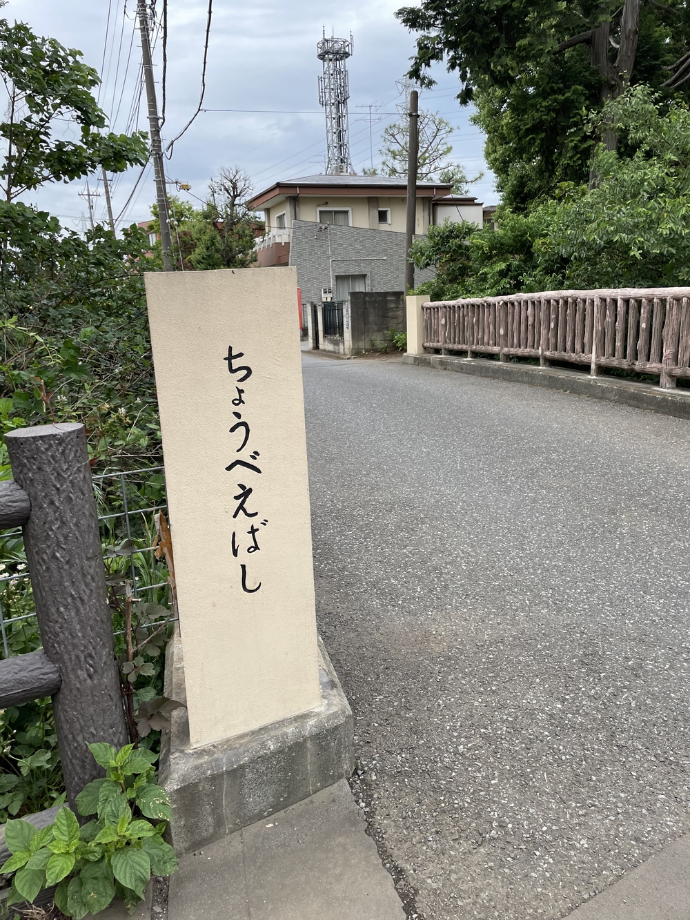 玉川上水から井の頭公園へ、神田川に架かる橋を全て渡るランの写真4